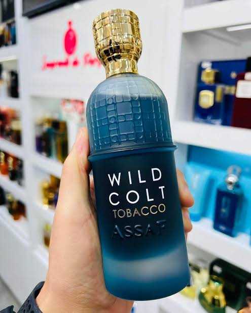 Assaf Wild Colt Tobacco + Gris Erik 200ml (Bundle) Original 100%
